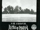 BATTLE OF DISARM/FLEAS AND LICE SPLIT EP-EFFIGY-JAPAN