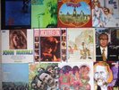 LPs (13): J. Mayall, Cuby & Blizzards, Butterfield u.a.