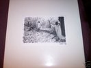 Sunn White Boxset 3xlp 1xpic disc (Boris, Wolf Eyes)