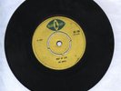 BLUE CAT/WAY OF LIFE - JOE WHITE [R/STEADY INST.] 7