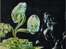 NUOVA IDEA / In The Beginning Italian Prog Orig 1st Lp