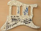 VAN HALEN autographed ELECTRIC GUITAR PICK GAURD