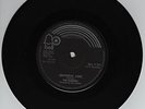 Dib Cochran/ and the Earwigs