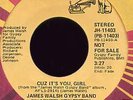 james walsh gypsy band.cuz its you.rca northern