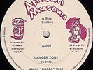 DANGER ZONE ERROL HOLT AFRICAN MUSEUM ORIG 12