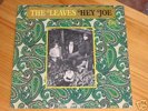 THE LEAVES hey joe OR USA '66 MONO LP GARAGE BEAT PSYCH