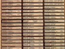ONE TON OF STEVE EARLE - ALT COUNTRY BLUEGRASS PSYCH