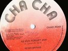 Peter Broggs - Never Forget Jah - WILD ROOTS **LISTEN**