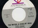 EDDIE HODGES 45  POP PSYCH  JACK NITZSCHE
