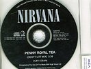 NIRVANA Penny Royal Tea (Pennyroyal) Scott Litt PROMO