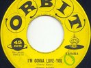 KENNY BAKER- I'M GONNA LOVE YOU-ROCKABILLY 45- ORBIT
