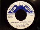 Funk 45 THE MOONLIGHTERS on BLUE EAGLE Funky Moon