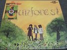 SUNFOREST 