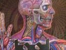TOOL lateralus 12