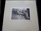 SUNN O))) WHITE BOX SEALED boris/khanate/ocean/earth LP