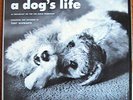 Folkways field recordings Tony Schwartz:A Dog's Life lp