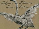 Sufjan Stevens Seven Swans Vinyl LP