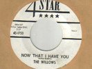 GROUP 45 WILLOWS ON FOUR STAR 1753 M-
