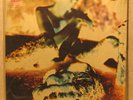 LEGEND S/T Lp SEALED Mickey Jupp orig 69 Bell pressing