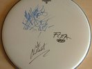 RED HOT CHILLI PEPPERS autographed DRUM SKIN with COA