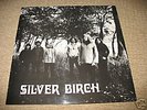 silver birch folk lp brayford record private press1974