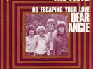 The IVEYS   Dear Angie ['69 French Apple 7