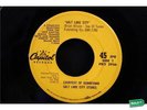 Beach Boys Amusement Parks USA 45 SLC RARE Promo 2937