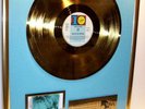Anne Clark goldene Schallplatte Vinyl Gold Record