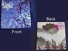 Dark Funeral / Carpathian Forest SplitLP - Blaues Vinyl