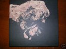 The PIXIES - Death to the Pixies 4x10