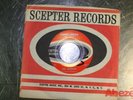 NORTHERN SOUL Ballad RARITY DEL MARINO on Scepter 45