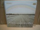 vincent gallo-when-lp-warp records