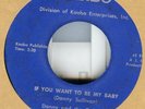 50S ROCKABILLY DANNY SULLIVAN- DARBO1595 VG LISTEN