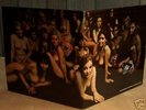 JIMI HENDRIX  