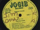 JOGIB/REGGAE FEVER WITH THE INSPIRATIONS [REGGAE] *LP