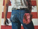 SPRINGSTEEN & THE E BAND autographed ALBUM / LP w/COA