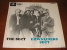 DOWNLINERS SECT the sect OR UK '64 LP MONO GARAGE PSYCH