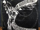 KAPLAN BROTHERS:Rare Weird Private Psych/Prog/Lounge LP