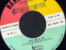 APOLLO’S APACHES-45-1966 Chicago ULTRA Garage / Punk