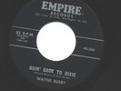 W. BUSBY - GOING' BACK TO DIXIE ROCKABILLY ORIGINAL 45
