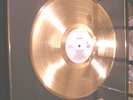 The Doors Gold Record LP Display