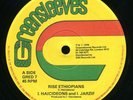 Rise Ethiopians - Haicideons & I Jarzif - Killer Roots
