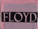 PINK FLOYD ‘DELICATE SOUND OF THUNDER’ RARE PROMO 12”
