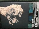 PIXIES Death to the Pixies 4x10