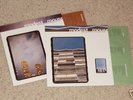 MODEST MOUSE: the lonesome crowded west - LP