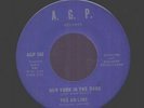 NORTHERN SOUL 45 AD-LIBS New York In The Dark A.G.P 100