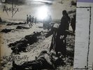 AMEBIX no sanctuary LP crass conflict subhumans punk