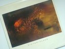 COCTEAU TWINS VICTORIALAND AUSTRALIAN PROMO VINYL ALBUM
