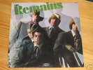 REMAINS same  OR USA '66 MONO LP GARAGE PSYCH