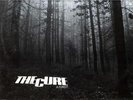 THE CURE A FOREST 12